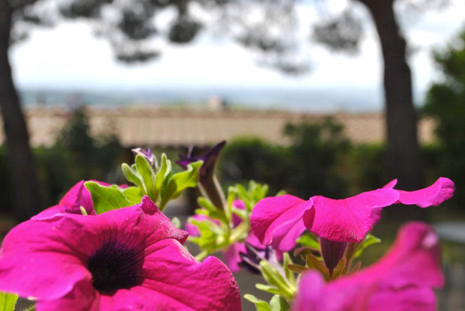 Hotel Villa San Giorgio Poggibonsi Esterno foto